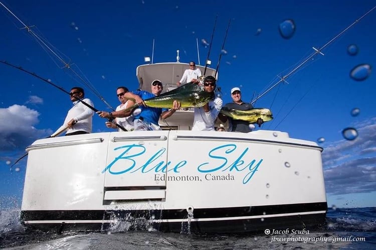 8 Hour Finger Banks - Blue Sky 43' Riviera
