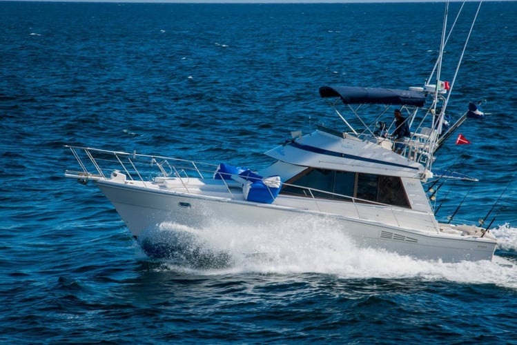 Full day, 3/4 Day or Half Day - Blue Water 35' Riviera