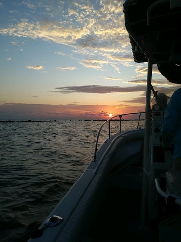 Galveston Jetty Fishing Adventure! In Galveston
