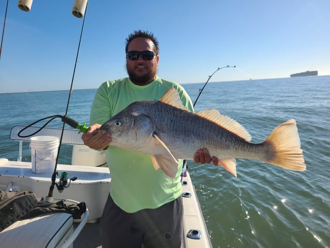 Galveston Offshore Fish Frenzy! In Galveston