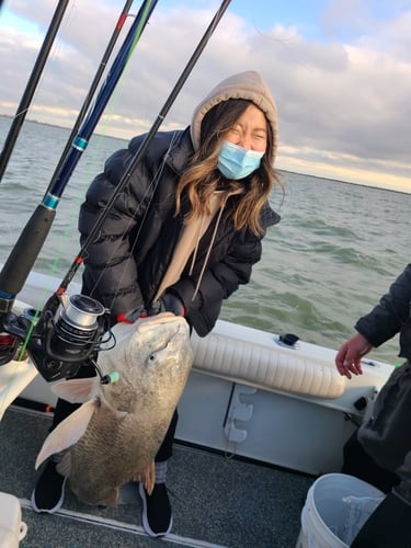 Galveston Offshore Fish Frenzy! In Galveston