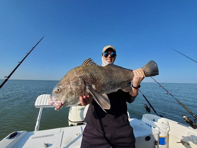 Galveston Offshore Fish Frenzy! In Galveston