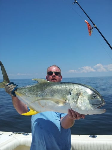 Galveston Offshore Fish Frenzy! In Galveston