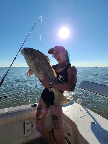 Galveston Offshore Fish Frenzy! In Galveston