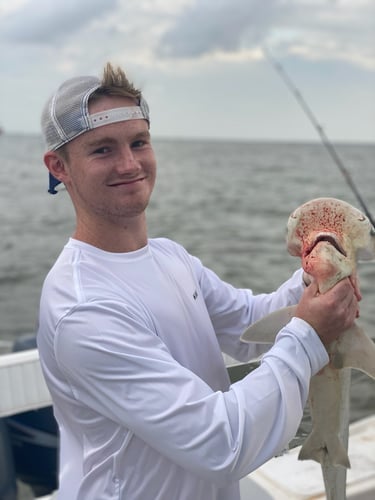 Galveston Offshore Fish Frenzy! In Galveston