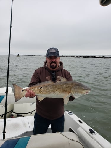 Galveston Jetty Fishing Adventure! In Galveston