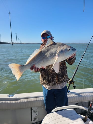 Galveston Jetty Fishing Adventure! In Galveston