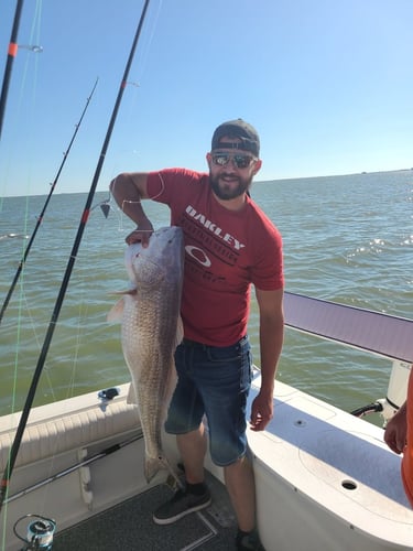 Galveston Offshore Fish Frenzy! In Galveston