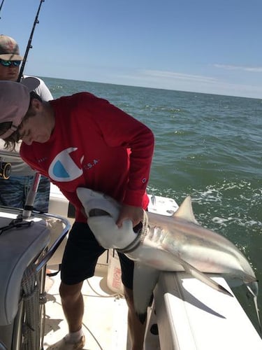 Galveston Offshore Fish Frenzy! In Galveston