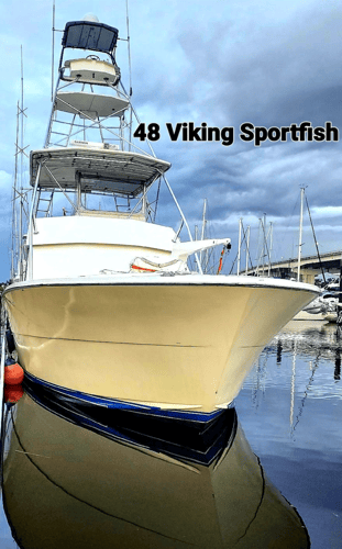 Offshore Full Day Trip - 48' Viking