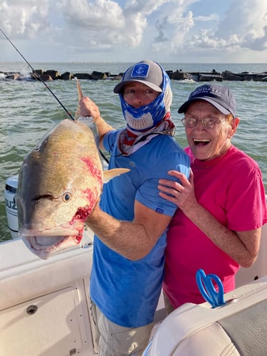 Half Day Inshore Trip In Galveston