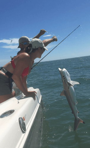 Shark Trip – Nearshore/Offshore