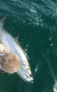 Half Day Inshore Trip In Galveston