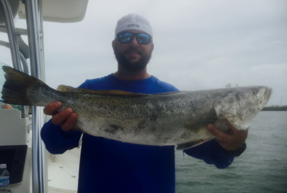 Half Day Inshore Trip In Galveston