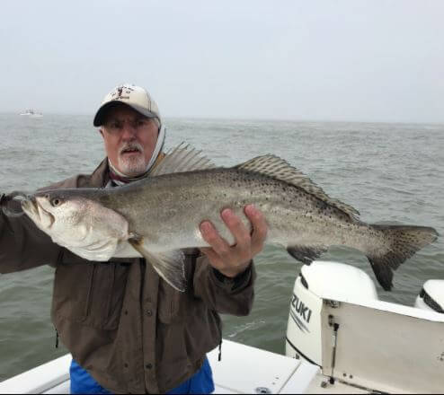 Half Day Inshore Trip In Galveston