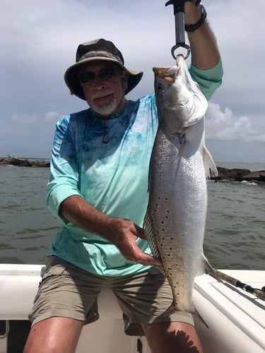 Half Day Inshore Trip In Galveston