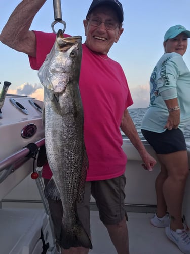 Half Day Inshore Trip In Galveston