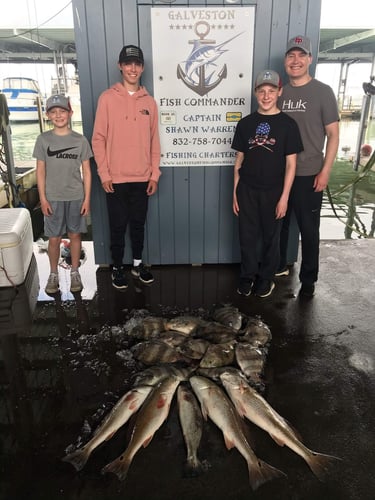 Half Day Inshore Trip In Galveston