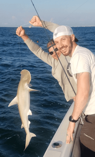Shark Trip – Nearshore/Offshore