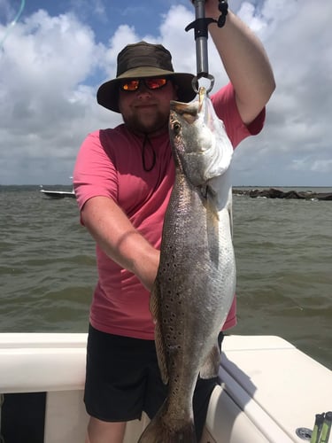 Half Day Inshore Trip In Galveston