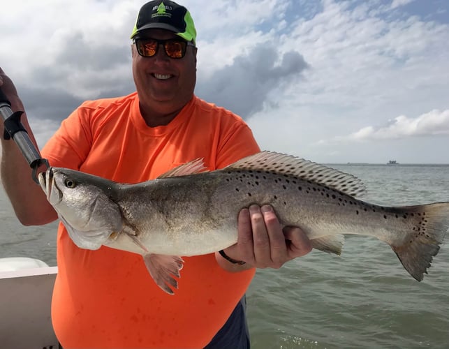 Half Day Inshore Trip In Galveston