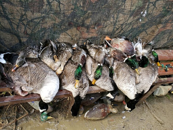 Baytown Hook and Shoot in Baytown