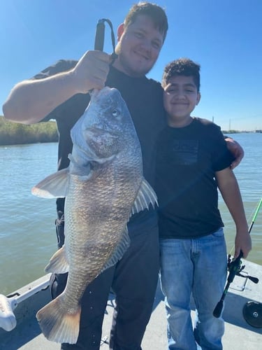 Upper Galveston Bay Trip In Baytown