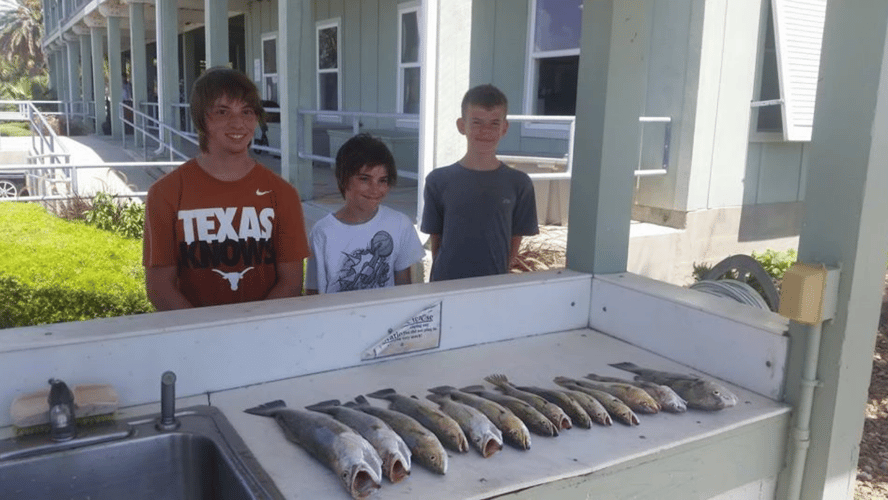 Upper Galveston Bay Trip In Baytown