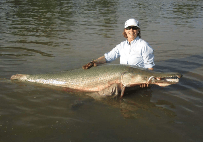 World Record Alligator Gar In Coldspring