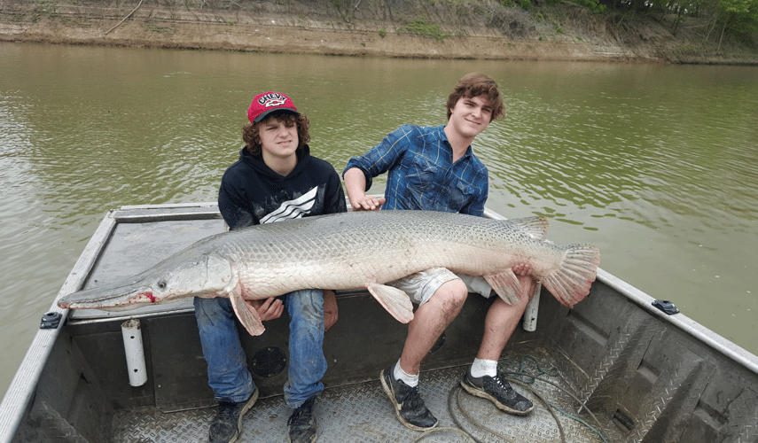 World Record Alligator Gar In Coldspring