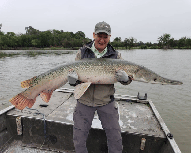 World Record Alligator Gar In Coldspring