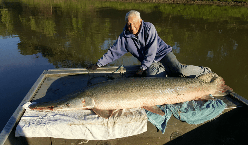 World Record Alligator Gar In Coldspring