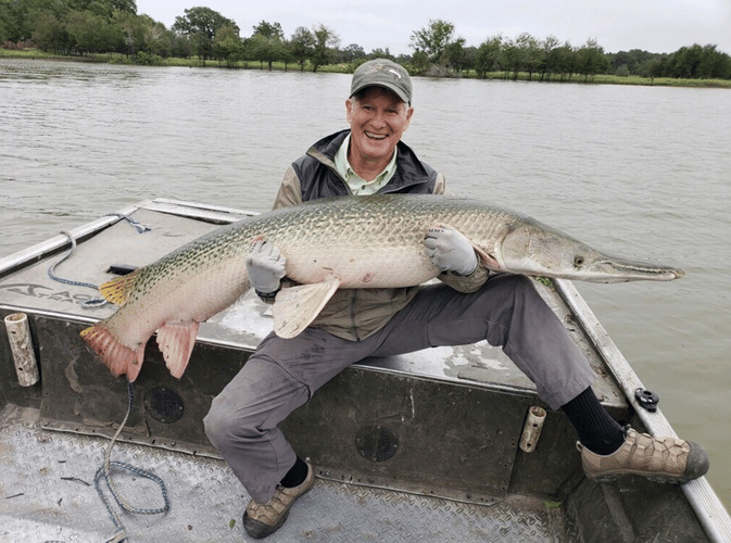 World Record Alligator Gar In Coldspring