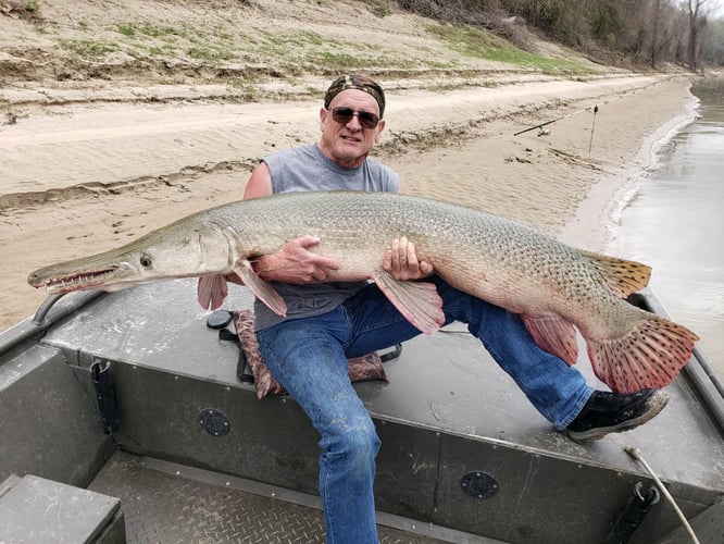 World Record Alligator Gar In Coldspring