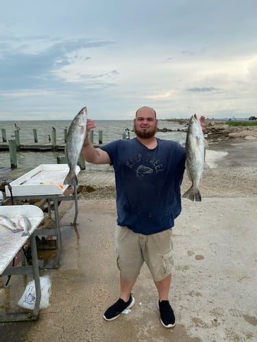 Texas City Inshore Roundup In Texas City