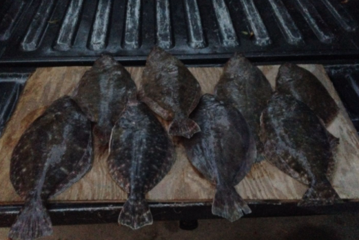 Texas City Inshore Roundup In Texas City
