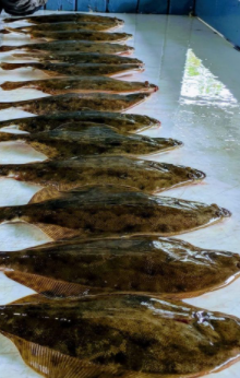 Texas City Inshore Roundup In Texas City