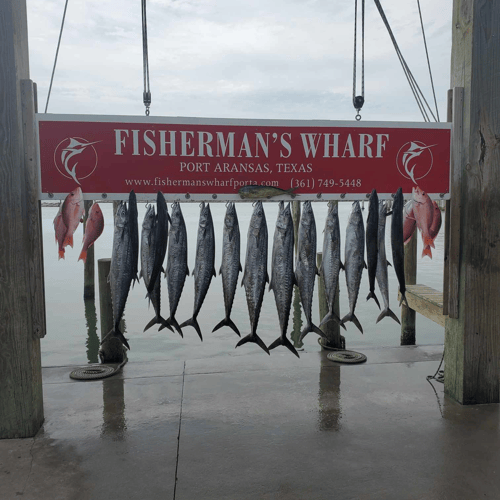 Port Aransas Offshore Excursion In Port Aransas