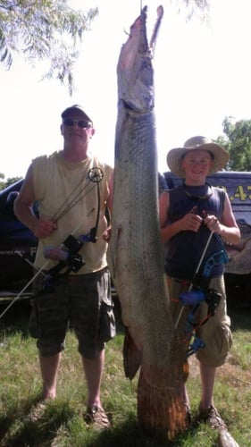 Trophy Alligator Gar Bowfishing In Houston