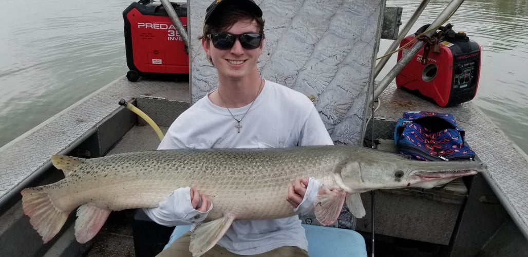 Trophy Alligator Gar Bowfishing In Houston