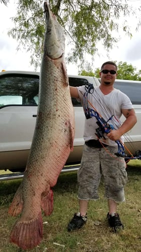 Trophy Alligator Gar Bowfishing In Houston