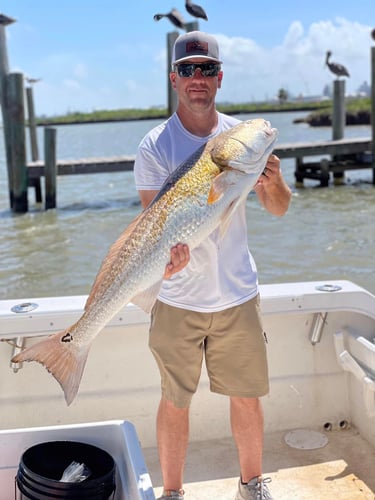 Spring Break Sharks and Bull Reds in Freeport