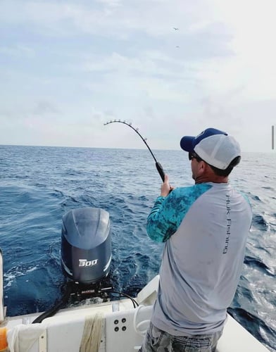 Spring Break Sharks and Bull Reds in Freeport