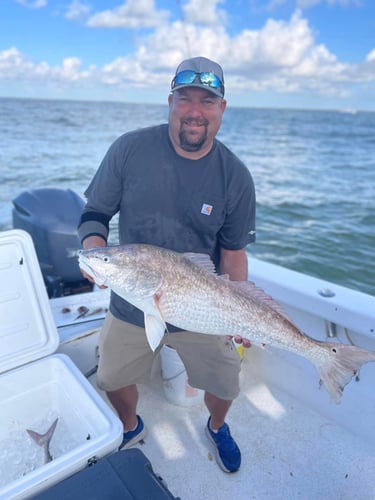 Spring Break Sharks and Bull Reds in Freeport