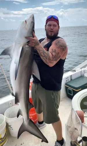 Spring Break Sharks and Bull Reds in Freeport