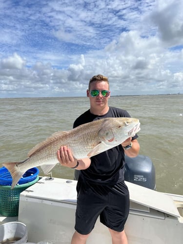Spring Break Sharks and Bull Reds in Freeport