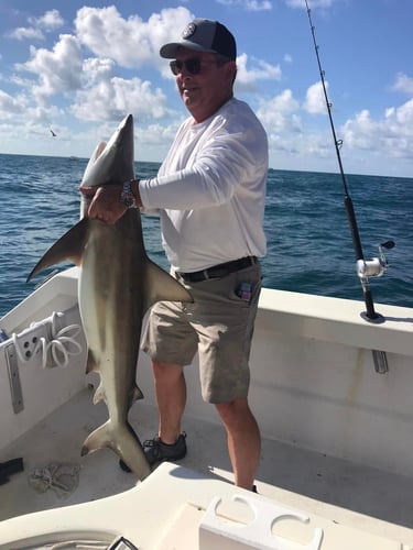 Spring Break Sharks and Bull Reds in Freeport