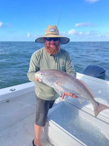 Spring Break Sharks and Bull Reds in Freeport