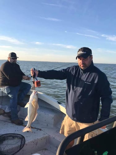 22' Whaler Inshore - Texas City In Texas City