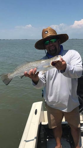 Texas City Jetty Trip In Texas City